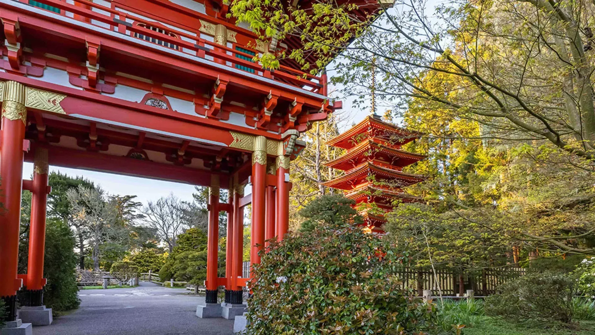 Templo do Jardim de Chá Japonês