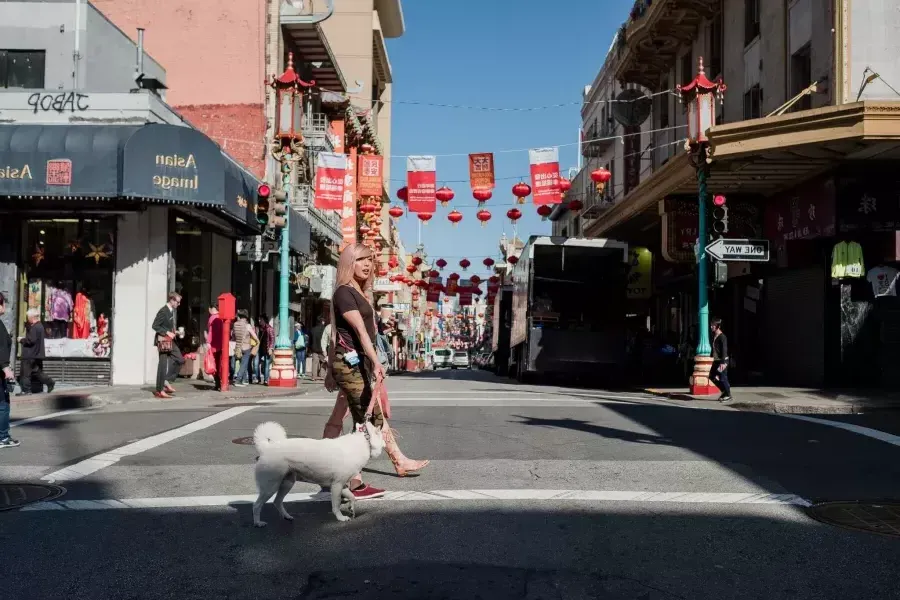 Nya Cruz和她的狗在唐人街散步.